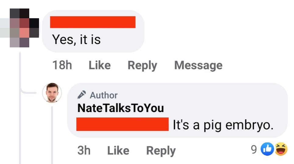 NateTalksToYou tweet media