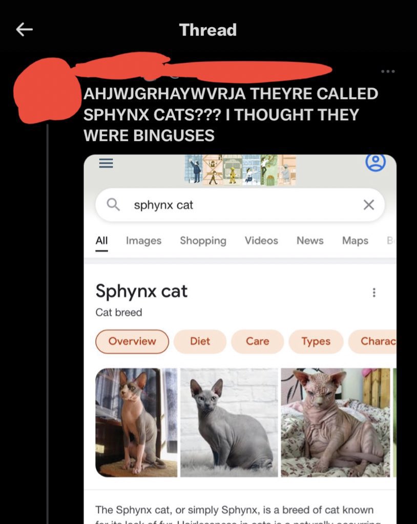 humanity is doomed (@cringehumanity) on Twitter photo 