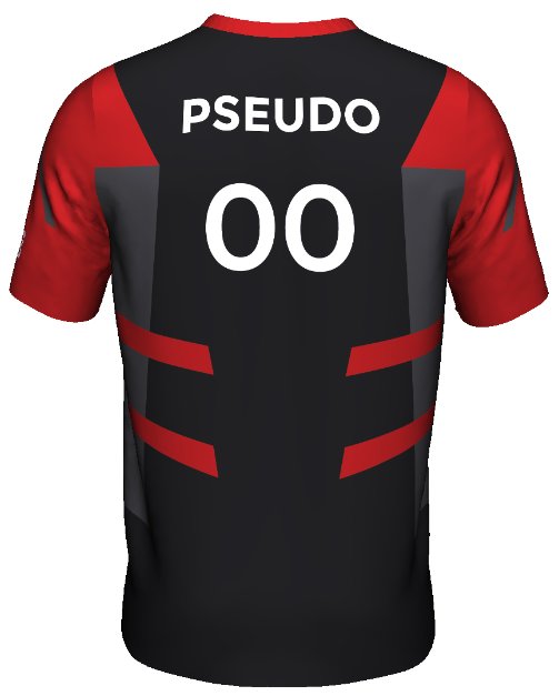 Nous sommes heureux de vous annoncer que nos maillots sont désormais disponibles !

Sur ces maillots vous pourrez : 

- Mettre votre pseudo
- Mettre votre numero
- Mettre un drapeau
- Choisir votre taille bien sûr 

eliminate.fr/produit/hoka-e…