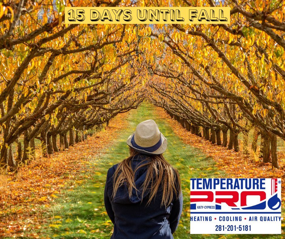 TemperaturePro Katy-Cypress tweet media