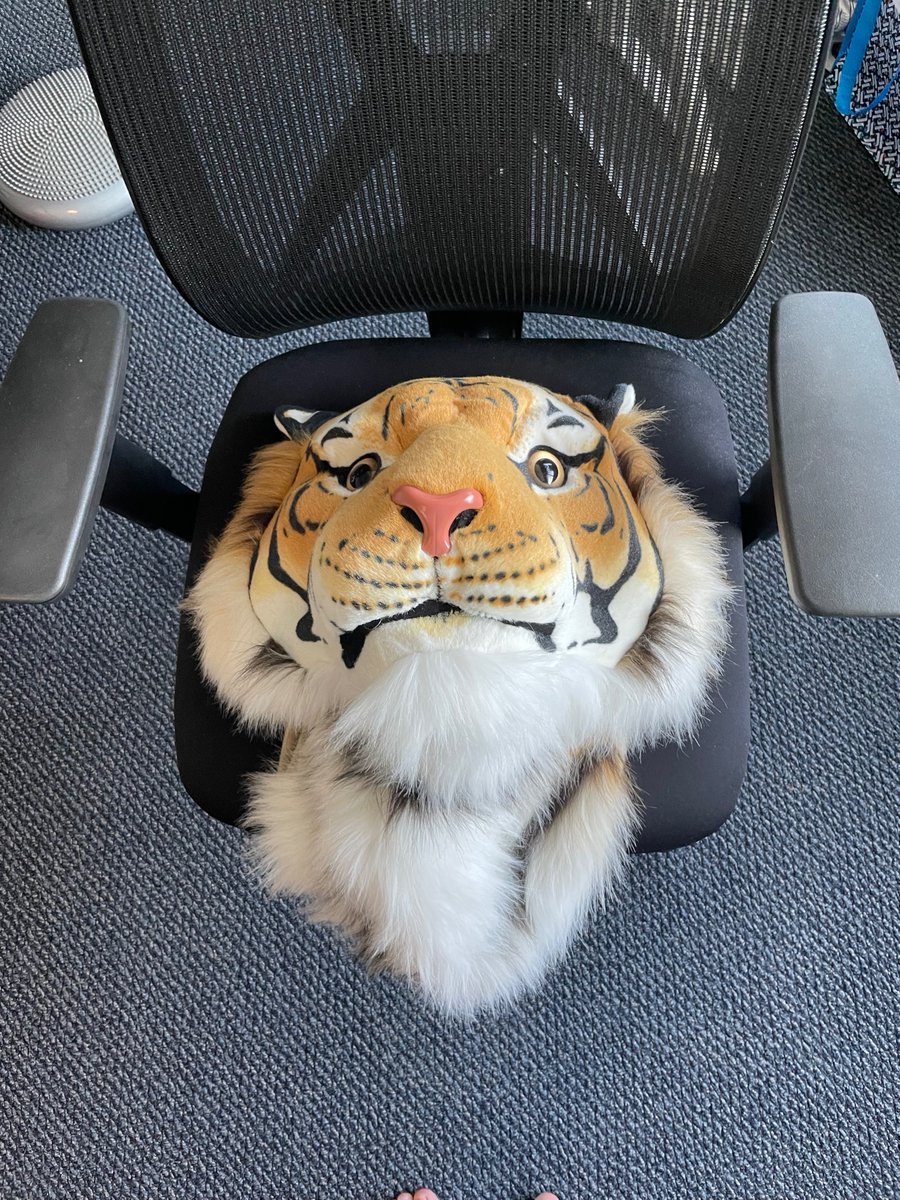kevincroxall's tweet image. How concerned should I be that a co-worker asked about the horse head on the chair in my office?