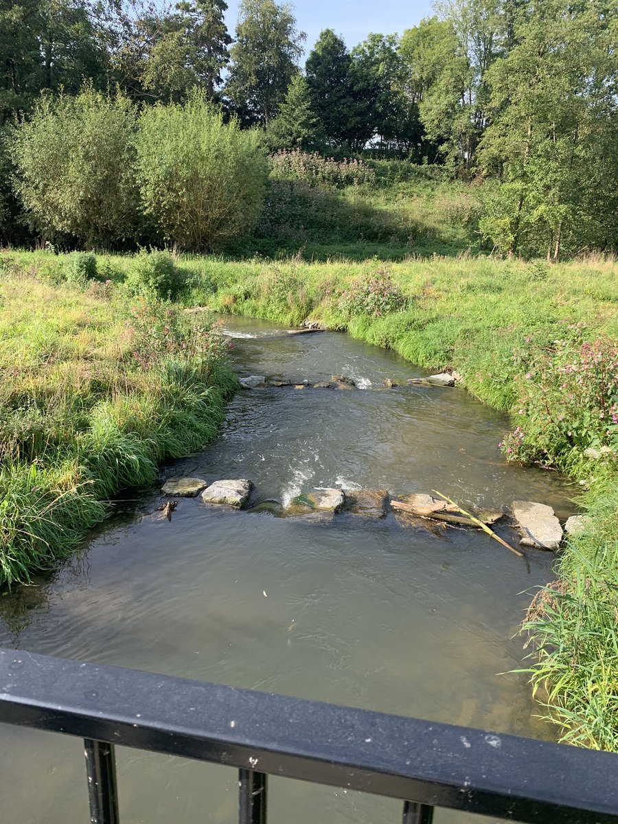 DaveDeckers's tweet photo. Tijd voor #veldbezoek. Vandaag met collega’s @WLomgeving weer het veld in👌🏻Op verschillende plekken langs de geul 💦 in #zuidlimburg met eigen 👀 enkele schadebeelden aan ons watersysteem te zien. Veel tekst en uitleg over historie van het meetsysteem en watersysteem gekregen 💪🏻 https://t.co/DMYzlZEfJn