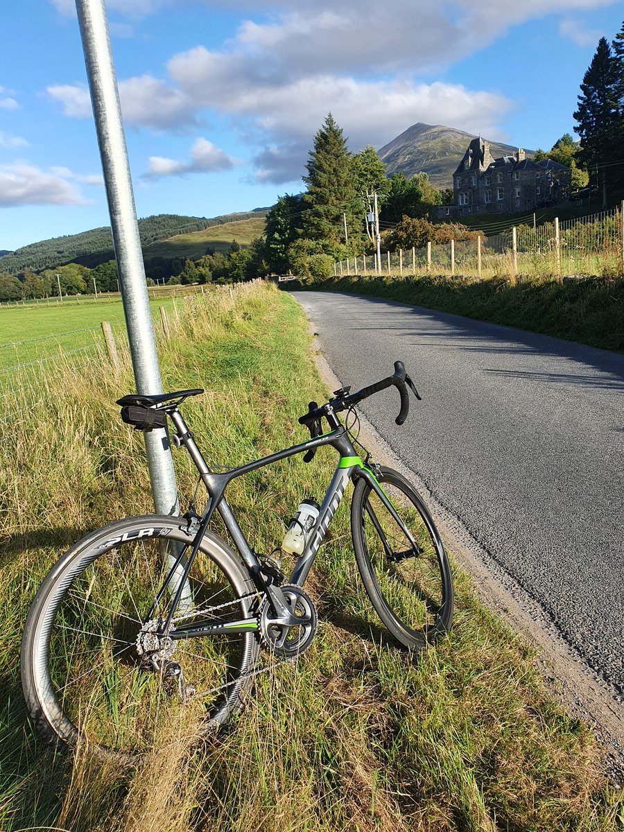 Stephen Whiston tweet media