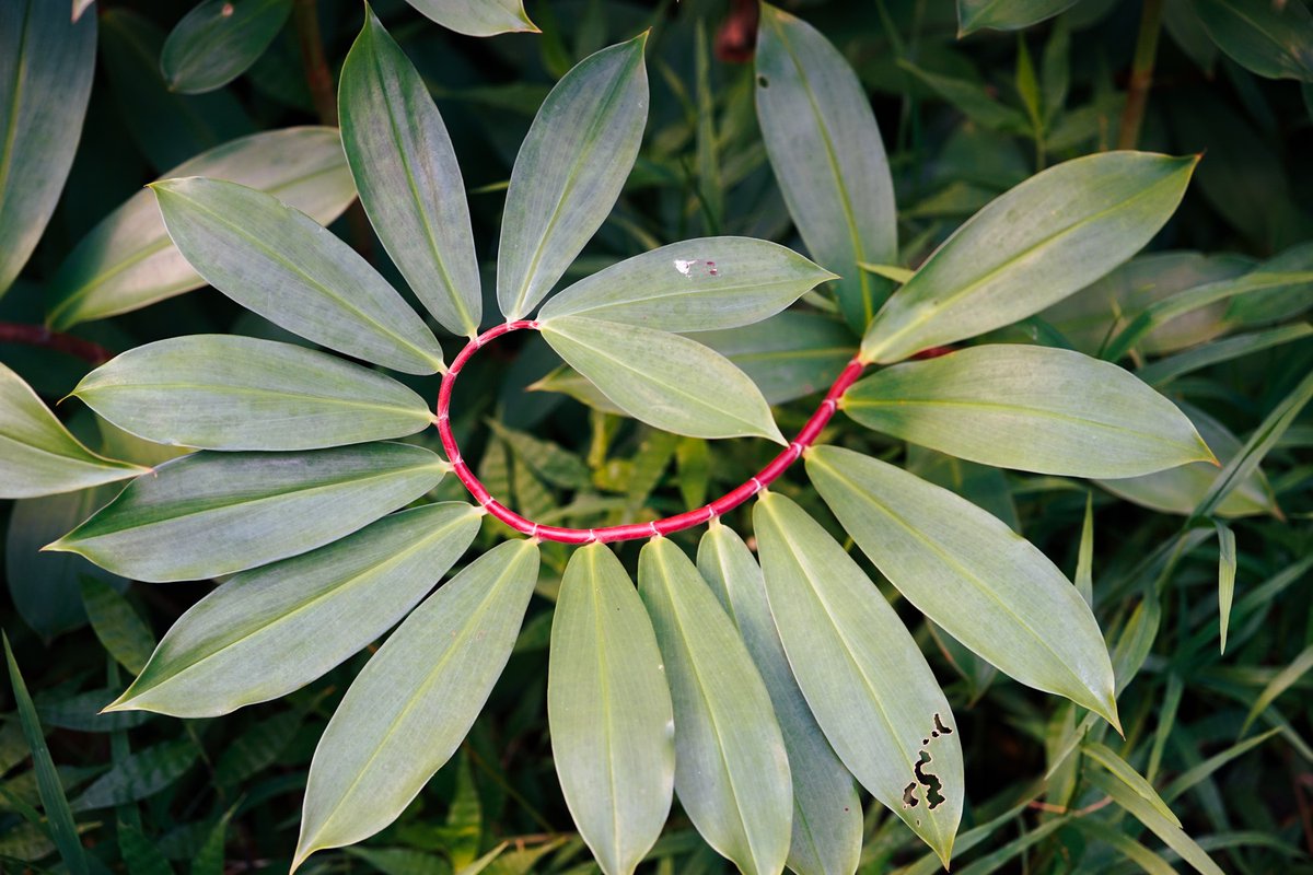 e_x_u_k's tweet image. Locking in the golden ratio. #beats #electronicmusic #eurorack #hawaii