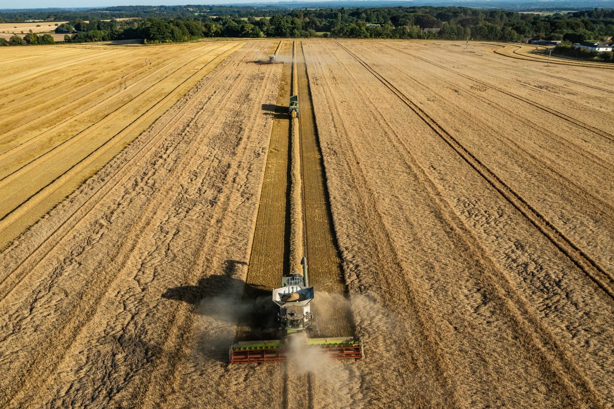 Rooksnest Estate munching through barley this afternoon.  Nearly there....
