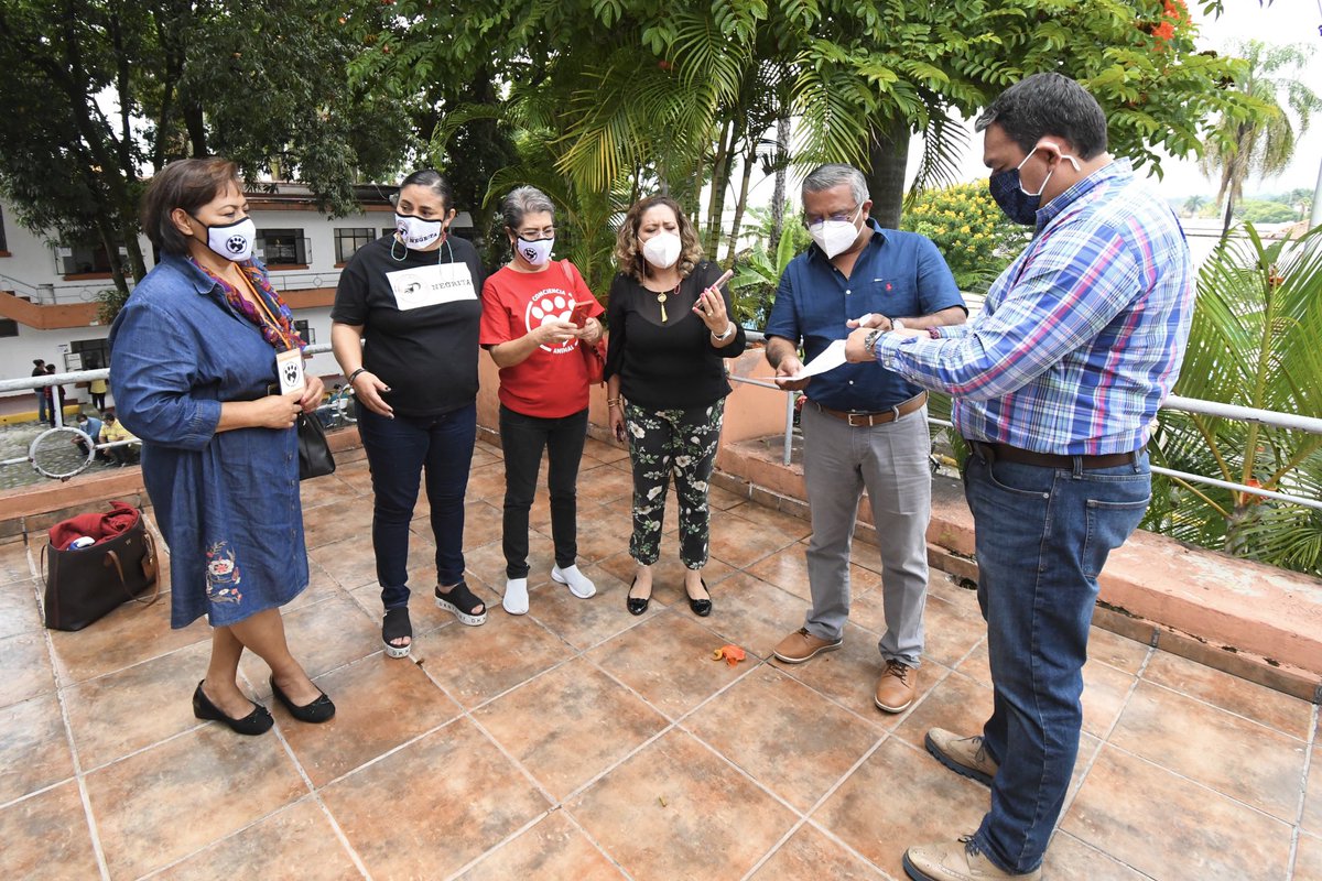 chusmtz_'s tweet photo. entregamos de manera formal al Secretario del @CuernavacaGob, la solicitud para que se inscriba en la siguiente sesión de cabildo, la iniciativa ciudadana de “Proyecto de Reglamento para la Atención, Control y Bienestar Animal para el Municipio de Cuernavaca, Morelos”. https://t.co/ysKEy6TwQg