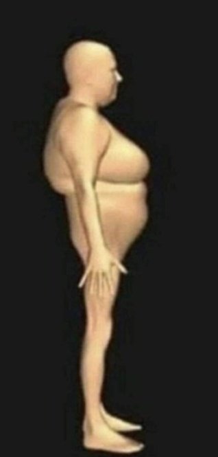 subí como 6 kilos (😩) que no serían nada si se me distribuyera mejor la grasa, porque litarlemente soy este: