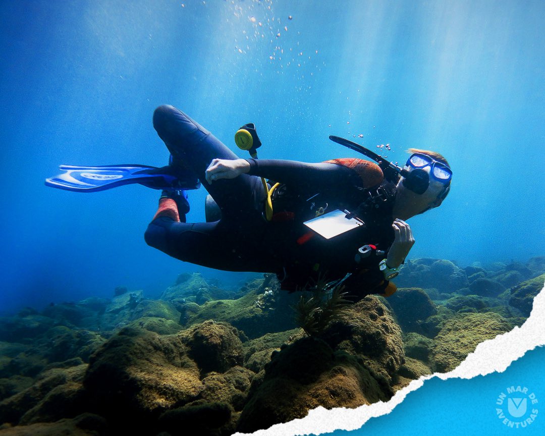 AzulScuba's tweet photo. «Muchas personas atacan al mar, yo le hago el amor». #JacquesCousteau.

Feliz #DíaInternacionalDelBuzo 👌🏻💙

#👌🏻AzulScuba #UnMarDeAventuras💦

#Scuba #CursosPADI #BuceoVenezuela #CursoDeBuceo #PADI #BuceoCaracas #ScubaDiving #Underwater https://t.co/nvwlc2M4jP