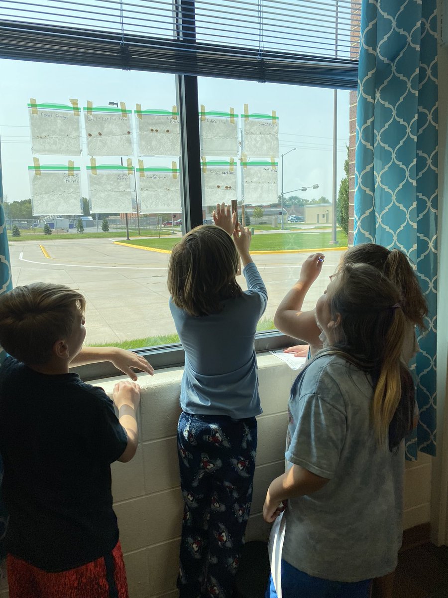 hmssci5's tweet photo. Can plants grow with only water and air? We will find out over the next 2 weeks! #holdregedusters #stemscopes https://t.co/rIJkBfg16Q