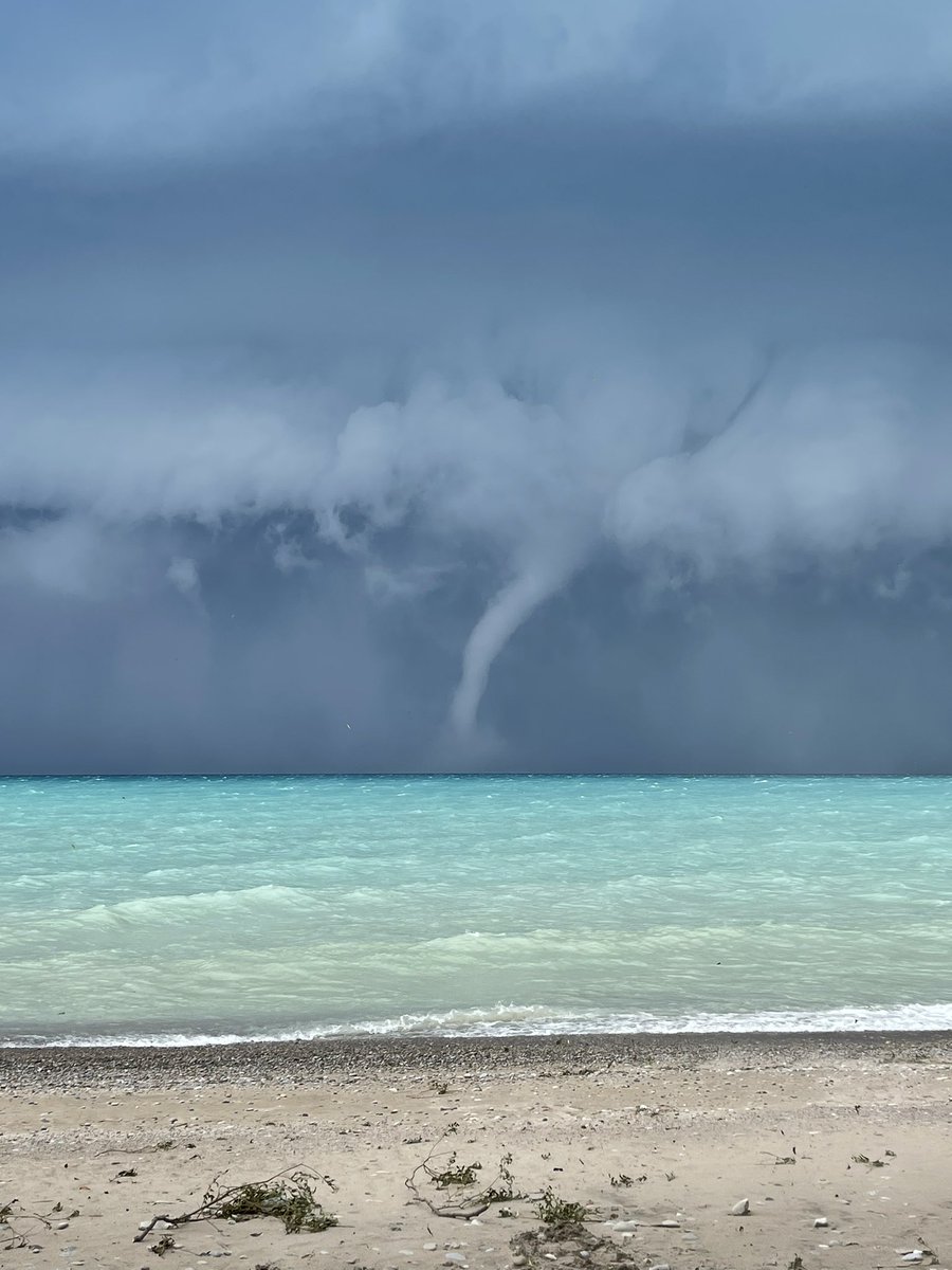 MaryAnn Williams🇨🇦 tweet media