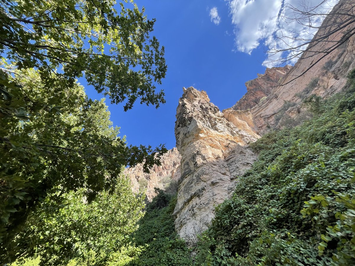 divergenttravel's tweet photo. Found our new favorite camping spot in NV
Kershaw–Ryan State Park in Nevada is just one of the many great state parks along the Great Basin Highway
#TravelNevada #GreatBasinHighway #NVStateParks #NVRoadTrip
On assignment with
@TravelNevada https://t.co/EORqqWUurS