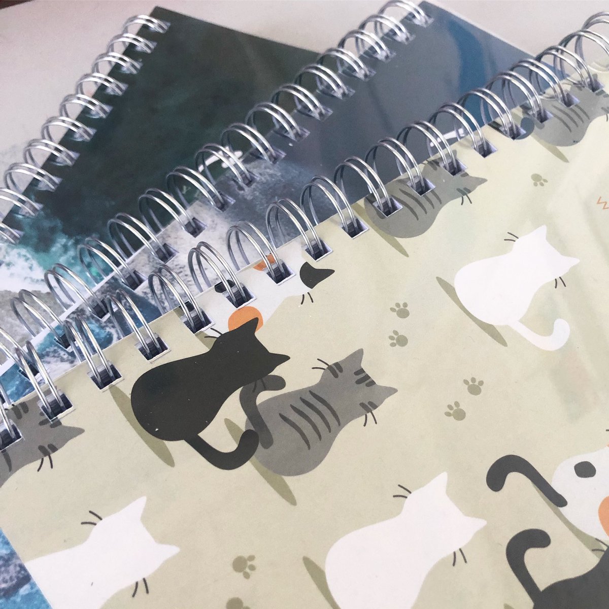 Profesora tweet media