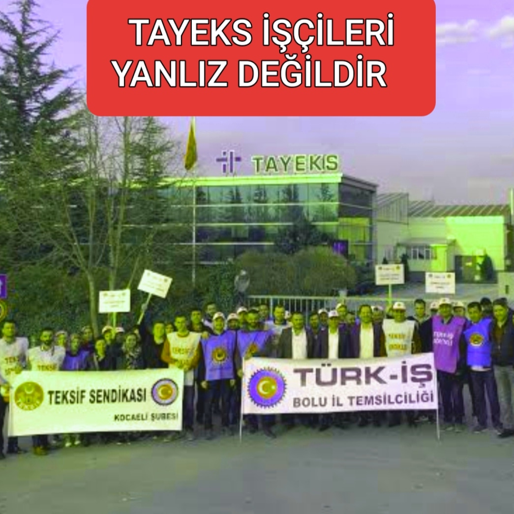 sinek1977's tweet photo. #tayeks #taypa @tayeks @taypa #bolu @bolu #teksif @teksif https://t.co/41GHkaVp0t