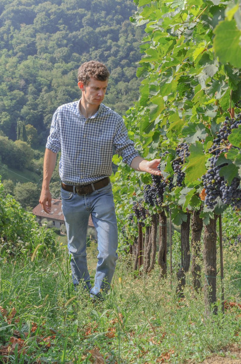 ValotaGabriele's tweet photo. "Come e quando è nata la passione per il vino?"
"Quando ha deciso che l'enologo sarebbe stata la sua professione?"
La mia intervista completa su @The_Wolf_Post
https://t.co/MS2uxGtg57

#professioneenologo #enologo #vitadaenologo #Assoenologi #assoenologigiovani https://t.co/qBdWVyFvBX