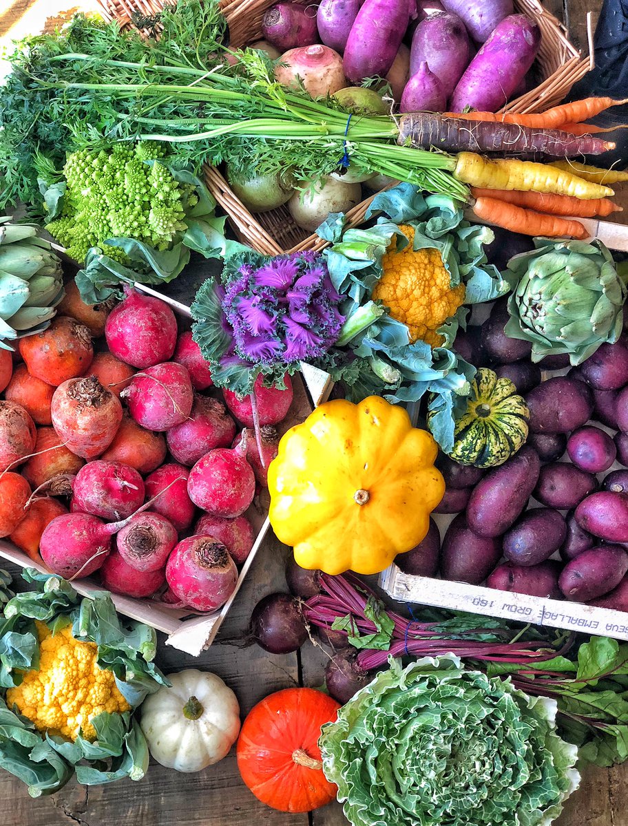 Plant food pop up ready !

Let’s get vegucated !