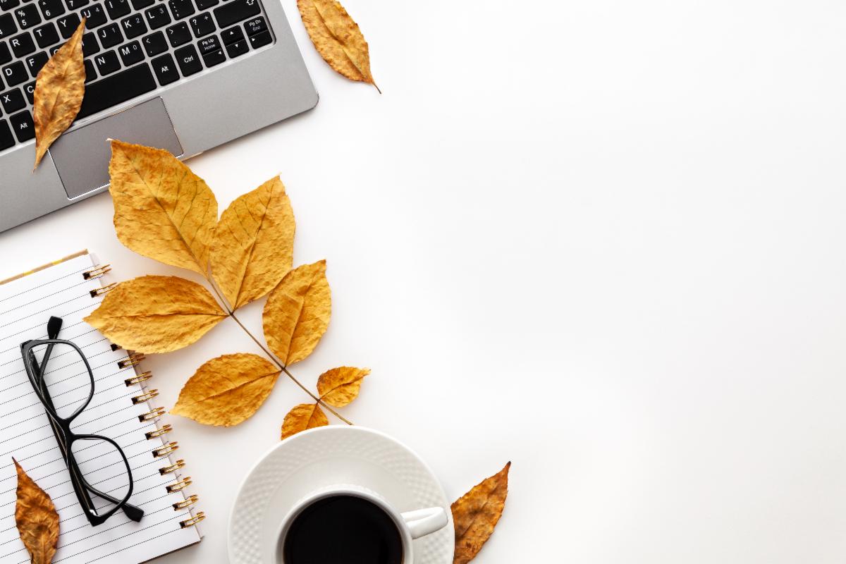 North Shore Chamber tweet media