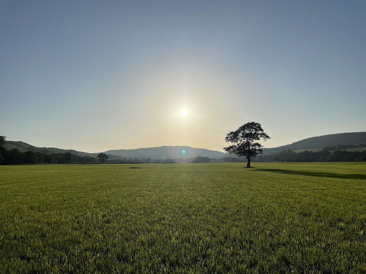 lisamurch88's tweet photo. So glad I managed a quick walk after a day at work today. Can it get much better? #teamdairy #lovewhereyoulive #dumfriesandgalloway #Sunshine ☀️ https://t.co/PtNU08FjEY