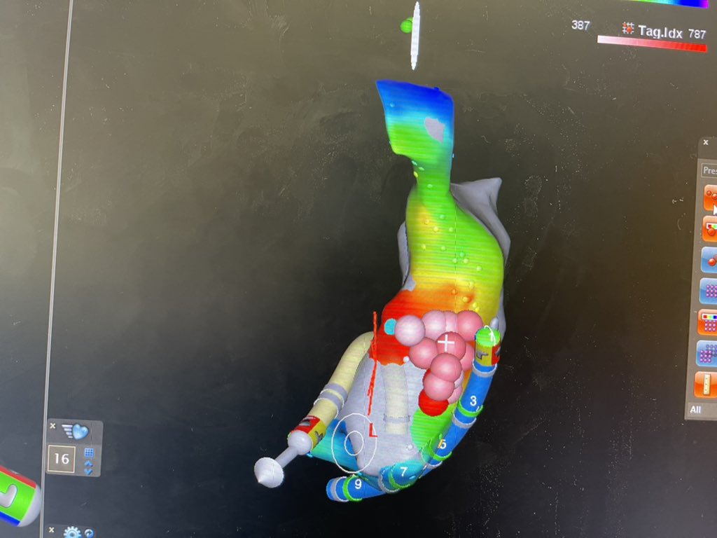 Darius Sholevar tweet media