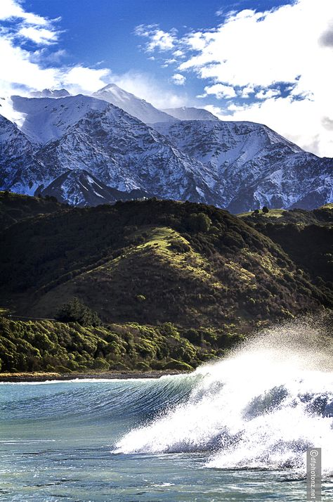 hobbs_PA's tweet photo. Winter #Surfing in #NewZealand is the best if you can handle i) the cold, ii) the narrow dirt track roads iii) the leopard seals! #Watchthedrop #TeOka #Mangamaunu #Surf #Travel https://t.co/gjAmHZy0ki