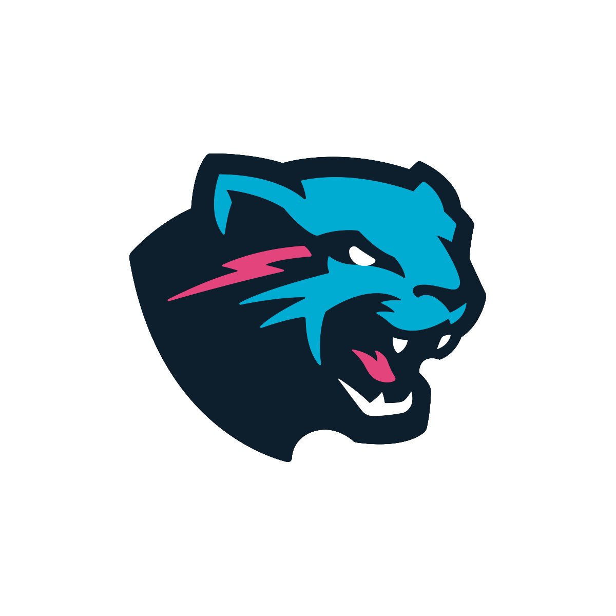 Mr Beast Logo Redesign by Koen on Dribbble