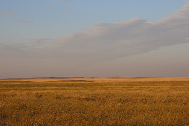 quail4ever's tweet photo. Let’s get a move on. All of us. YOU can help create a North American Grasslands Conservation Act https://t.co/p0H2YDaY5I #ActForGrasslands w/ @pheasants4ever @Backcountry_H_A @WWF @NWF @deerassociation @LTAlliance @TheTRCP @IWLA_org https://t.co/eGNJtFXeFO
