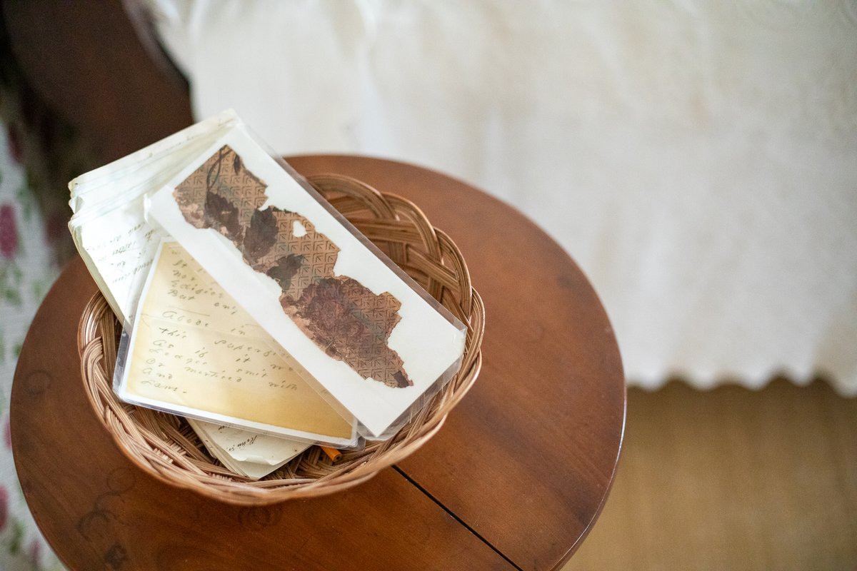 DickinsonMuseum's tweet image. This laminated scrap of Emily’s original bedroom wallpaper was one of the historical records used in the reproduction of the wallpaper. We can't wait to have you all back on guided tours — where you can hold this piece history in your hands.