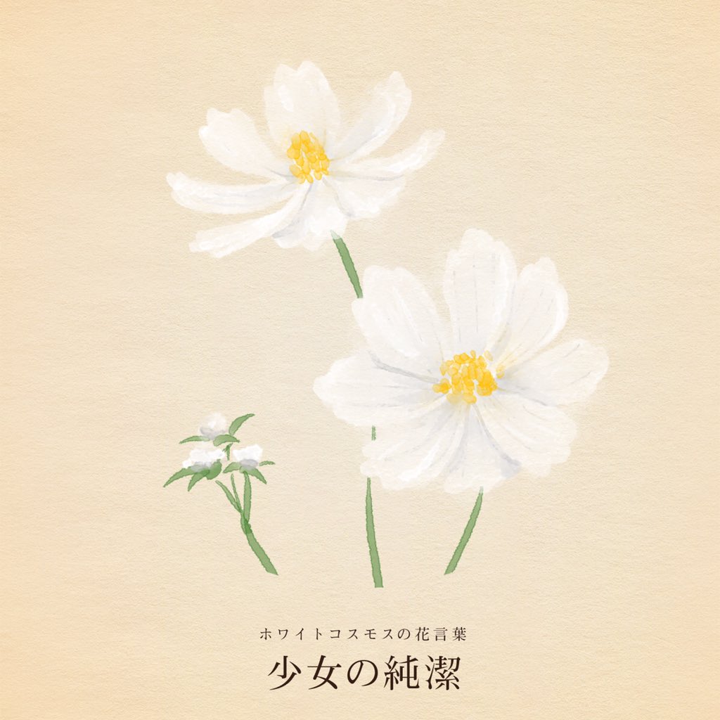はな言葉 新刊出ました V Twitter きょう9月8日は 菊の被綿 桑の日 休養の日 明治 改元の日 国際識字デー ハヤシの日 マスカラの日 Krevaの日 ニューヨークの日 スペインワインの日 聖母マリア誕生日 新聞折込求人広告の日 サンフランシスコ平和条約調印記念日 誕生