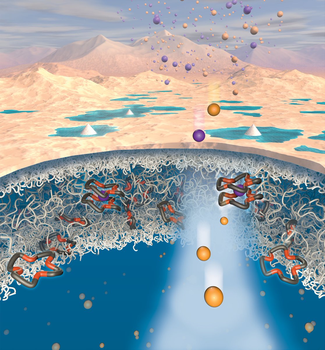M_WET_Center's tweet photo. Check out the latest publication @PNASNews "Engineering Li/Na selectivity in 12-Crown-4–functionalized polymer membranes" highly collaborative work providing insights into how host-guest chemistry influences ion transport/selectivity in polymer membranes https://t.co/NzDENZ4QSJ https://t.co/LXGEWeI21q