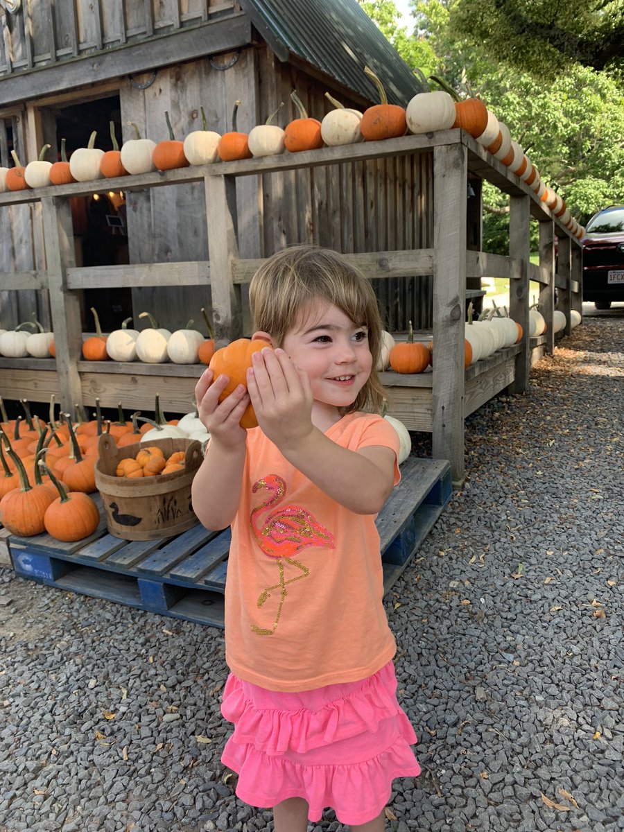 kelt303's tweet photo. When life hands you a COVID protocol day from daycare, you have the best adventures. #EmmaMamaTime #FallinNewEngland #CapeCodCanal https://t.co/O0L8yxjshq