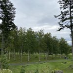 ツイートに含まれる画像