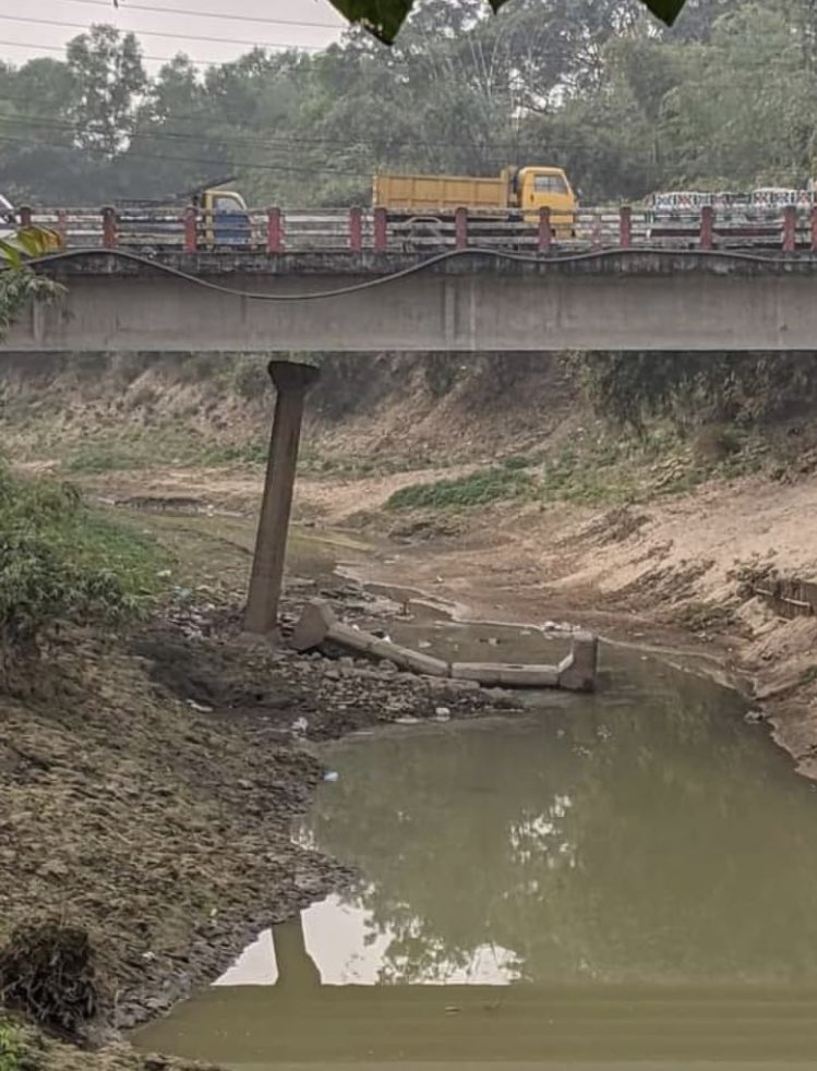 alessaoncrypto's tweet image. 