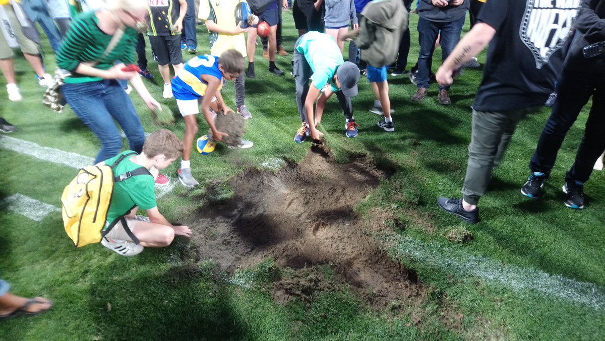 Les Street tweet media