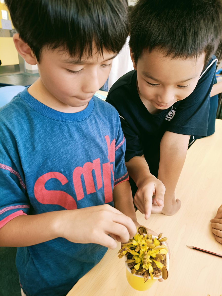 Bob Bauer #MIEE Innovative Learning Evironments tweet media