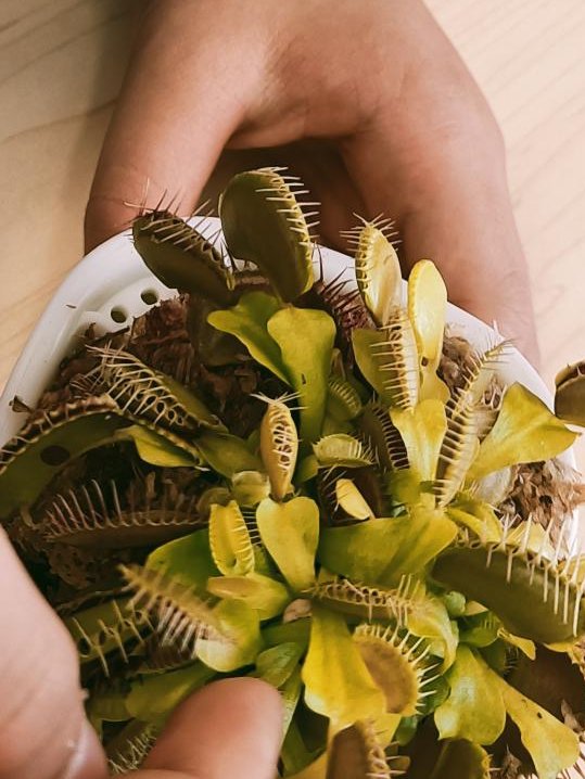 Bob Bauer #MIEE Innovative Learning Evironments tweet media