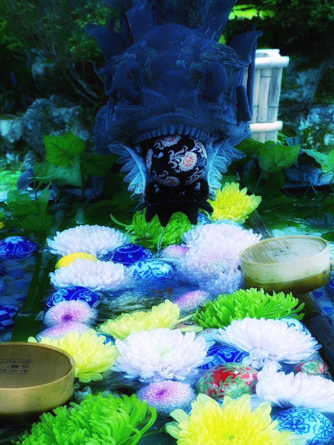 れいか 夢幻の花玉手水 柳谷観音 楊谷寺 花玉手水 T Co 3omobmp5ru Twitter