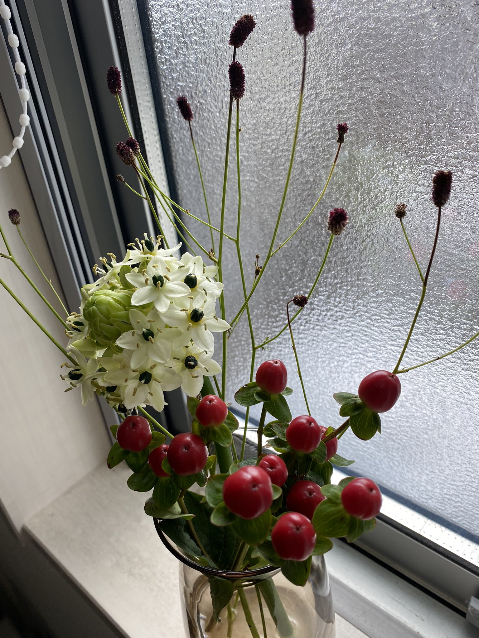 禾日 秋 花で一番好きなワレモコウの時期なので喜んで飾ってたら 自分が動くたびに 視界の端に黒くて楕円形の形のものが動いてる ようにみえて怖い オーニソガラムも可愛い 良い T Co K9l5lm0fgr Twitter