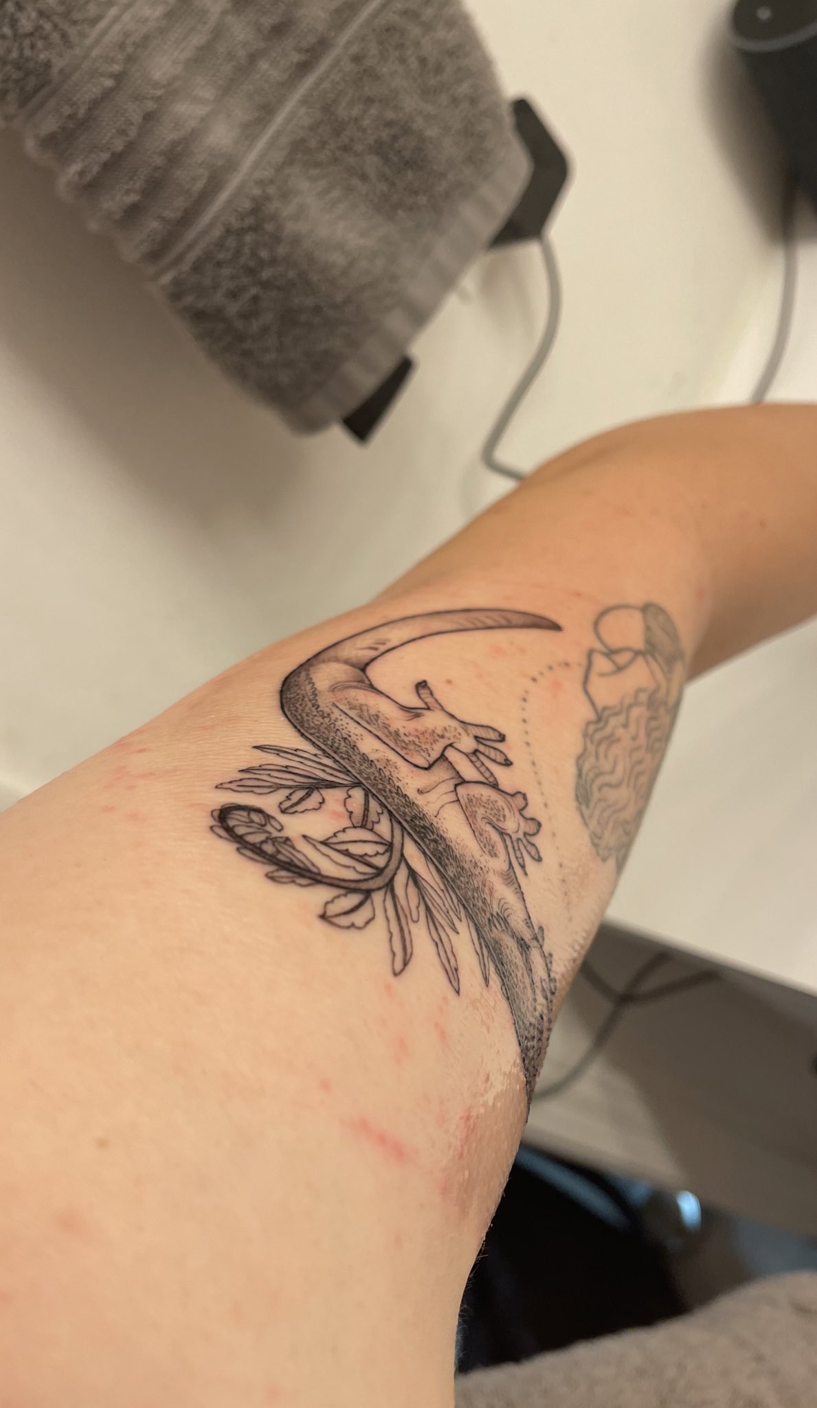 Discover 72+ tegaderm vs saniderm tattoo best thtantai2