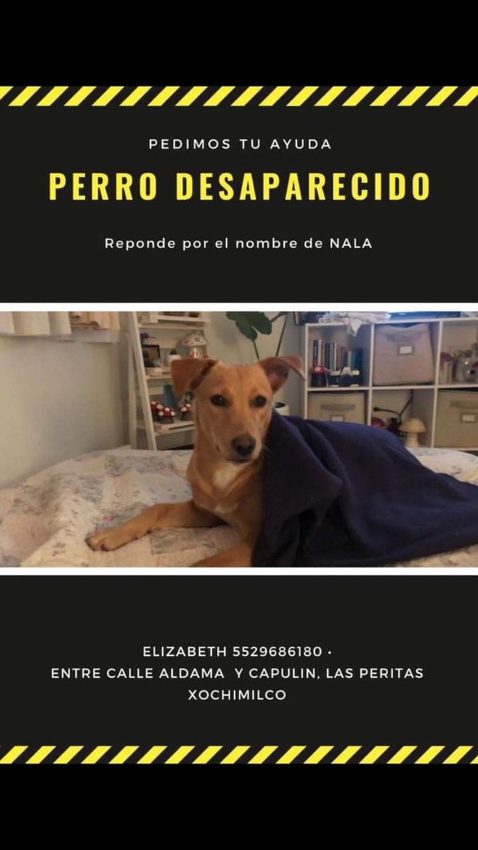 Perrhijos tweet media