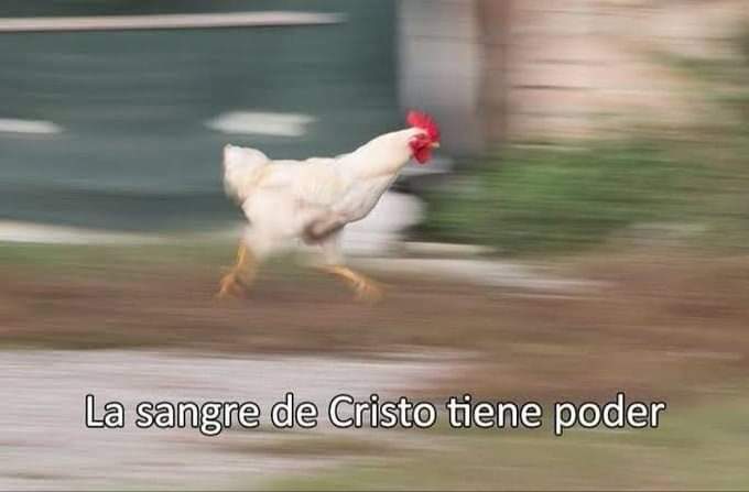 dardimmu's tweet photo. Todo el chingado septiembre https://t.co/OGRUmzdd8J