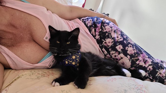 Napping with Joey. He's such a cuddle bug! https://t.co/77G4AbNh68<a href="/tag/gilfed"class="tags"><span>#gilfed</span></a>