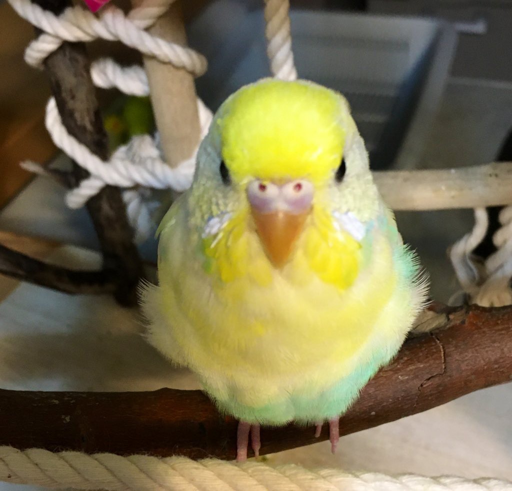 アース tweet media