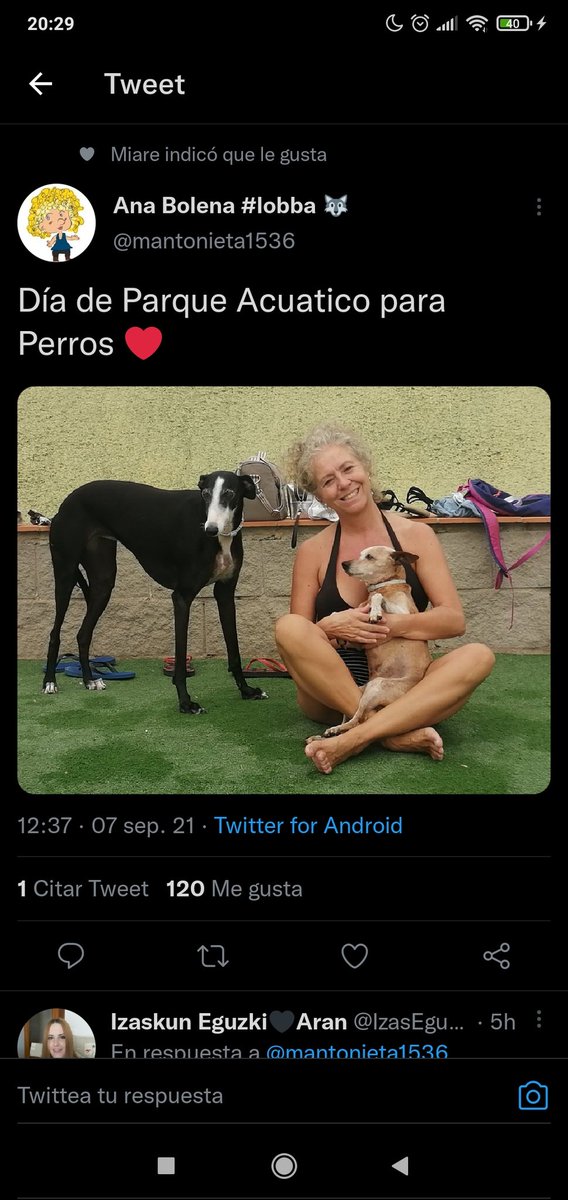 UnInnecesario's tweet photo. @DalasReview :v https://t.co/MUhOEfbueR