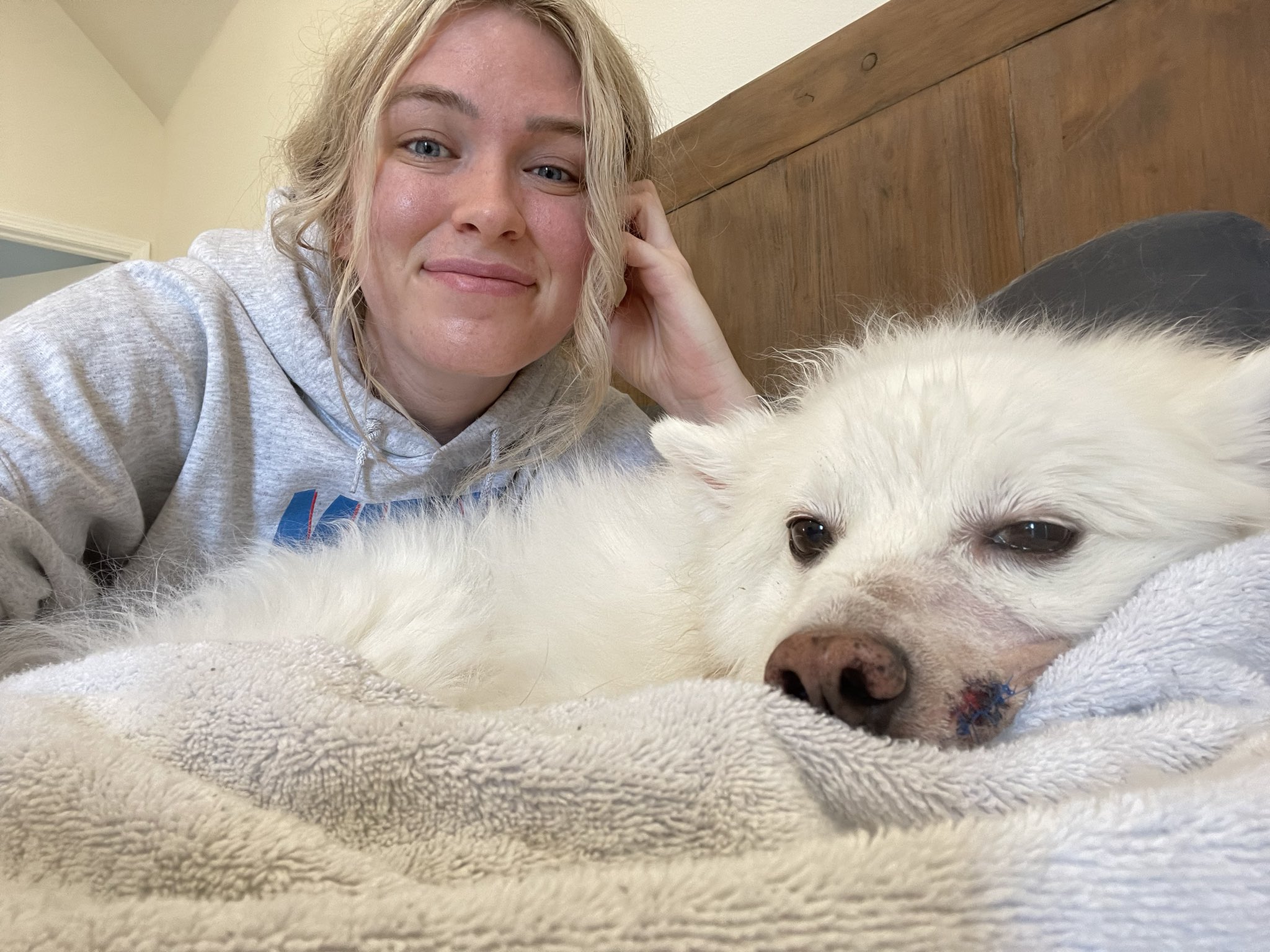 QTCinderella on Twitter "We are home!!! He is a little drugged up and