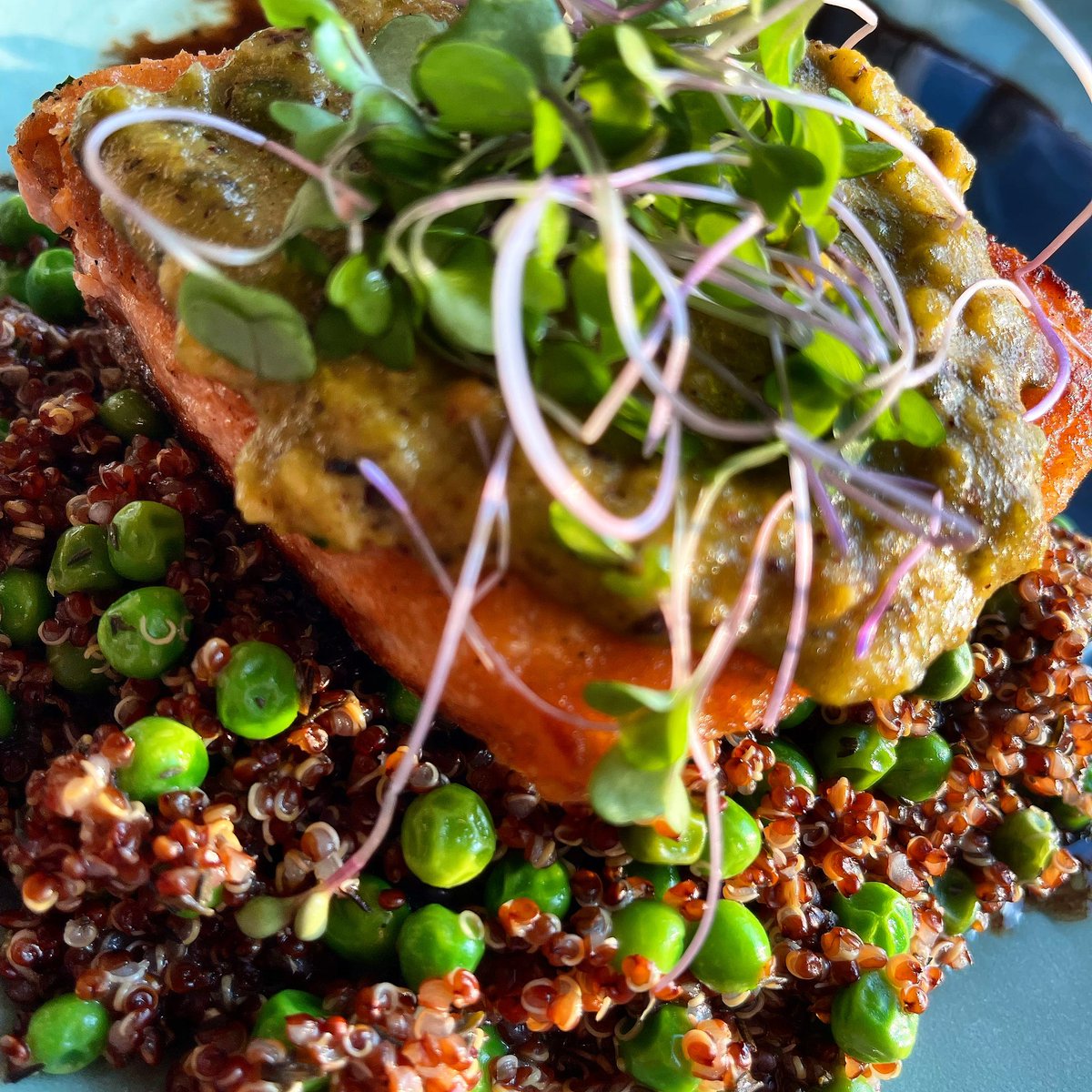 janineserio's tweet photo. I am sorry, I cannot even with this amazing pistachio crusted salmon, quinoa, and peas, with a side salad and yummy #vino Yes, and to all a good night! https://t.co/xT4EnWqfqV