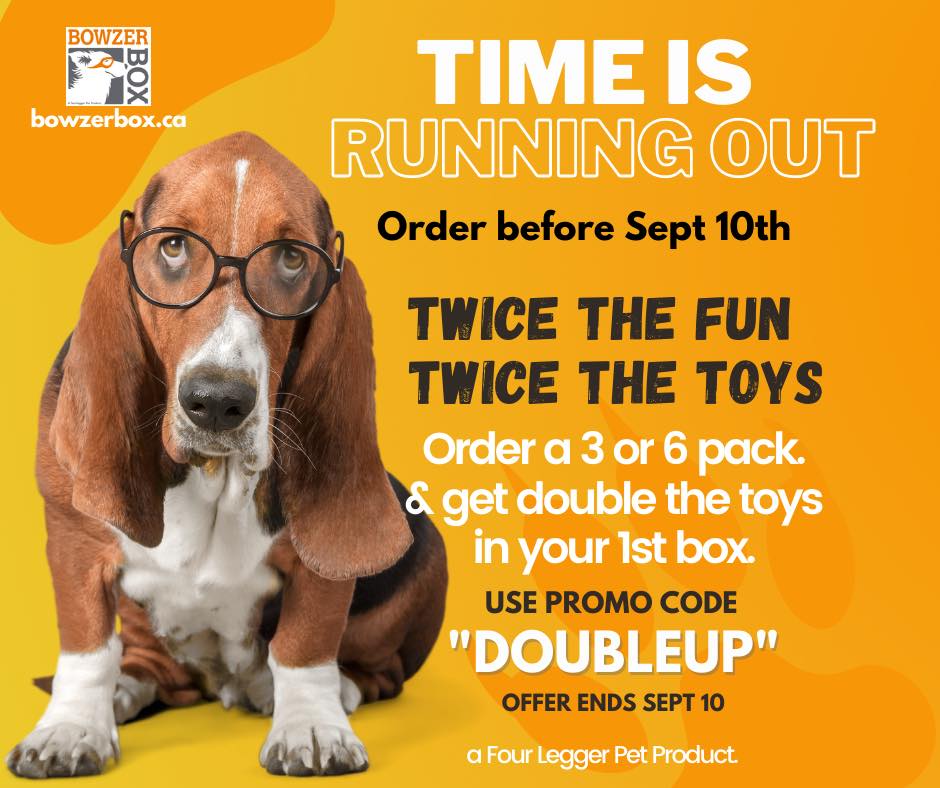 FourLeggerBox's tweet image. 2 X THE FUN!📦 Dogs Love It! 🐾❤️

Order a 3 or 6-Box Subscription, get double the toys in their first BowzerBox! 

Use Promo Code DOUBLEUP. Offer ends September 10. 

#DogBox #BowzerBox #FourLegger 🇨🇦
