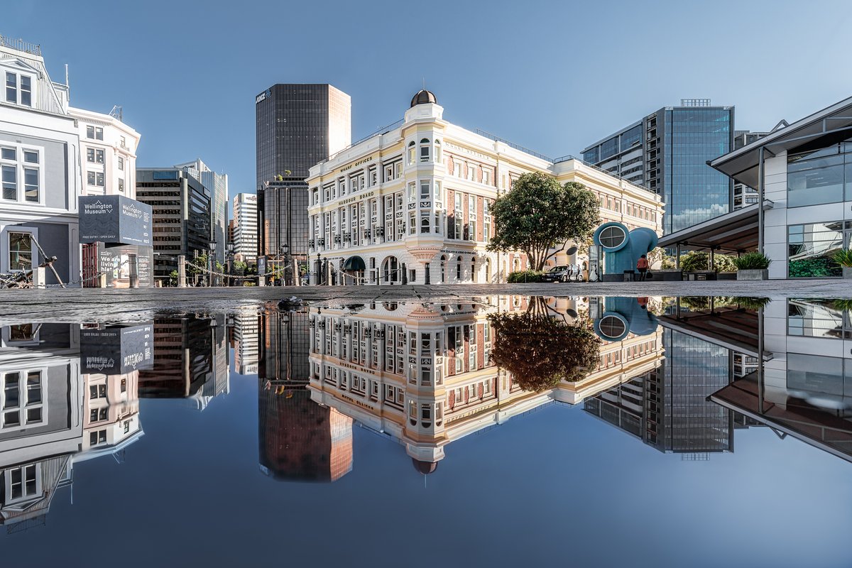Todays one is from Wellington, New Zealand and is a puddle reflection .#SonyAlpha