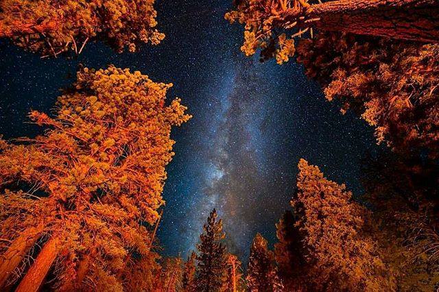 SanQuintinMX's tweet photo. These are the nights that you can see in Sierra de San Pedro Mártir. ⭐🌙 #SanQuintin
Begin your adventure at: https://t.co/LYxL1Vf9Yo https://t.co/4Cyx2pvGCh