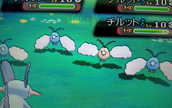 群れバトルのtwitterイラスト検索結果