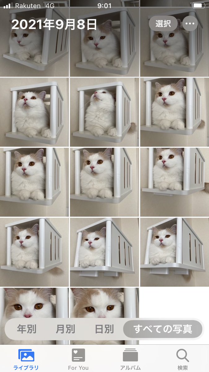 goldsuco's tweet photo. かわいいね〜と4,5枚の写真を撮ったつもりだったが実際は https://t.co/GayXsfCclo