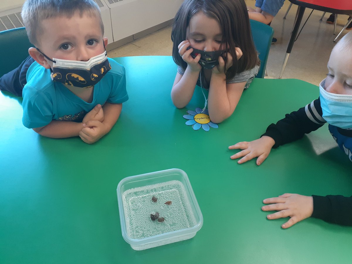 Melissa Henderson tweet media